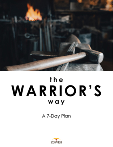 The Warrior's Way